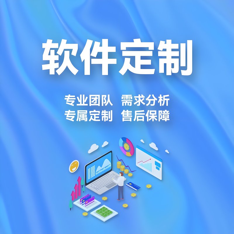 软件定制:企业成长背后的力量